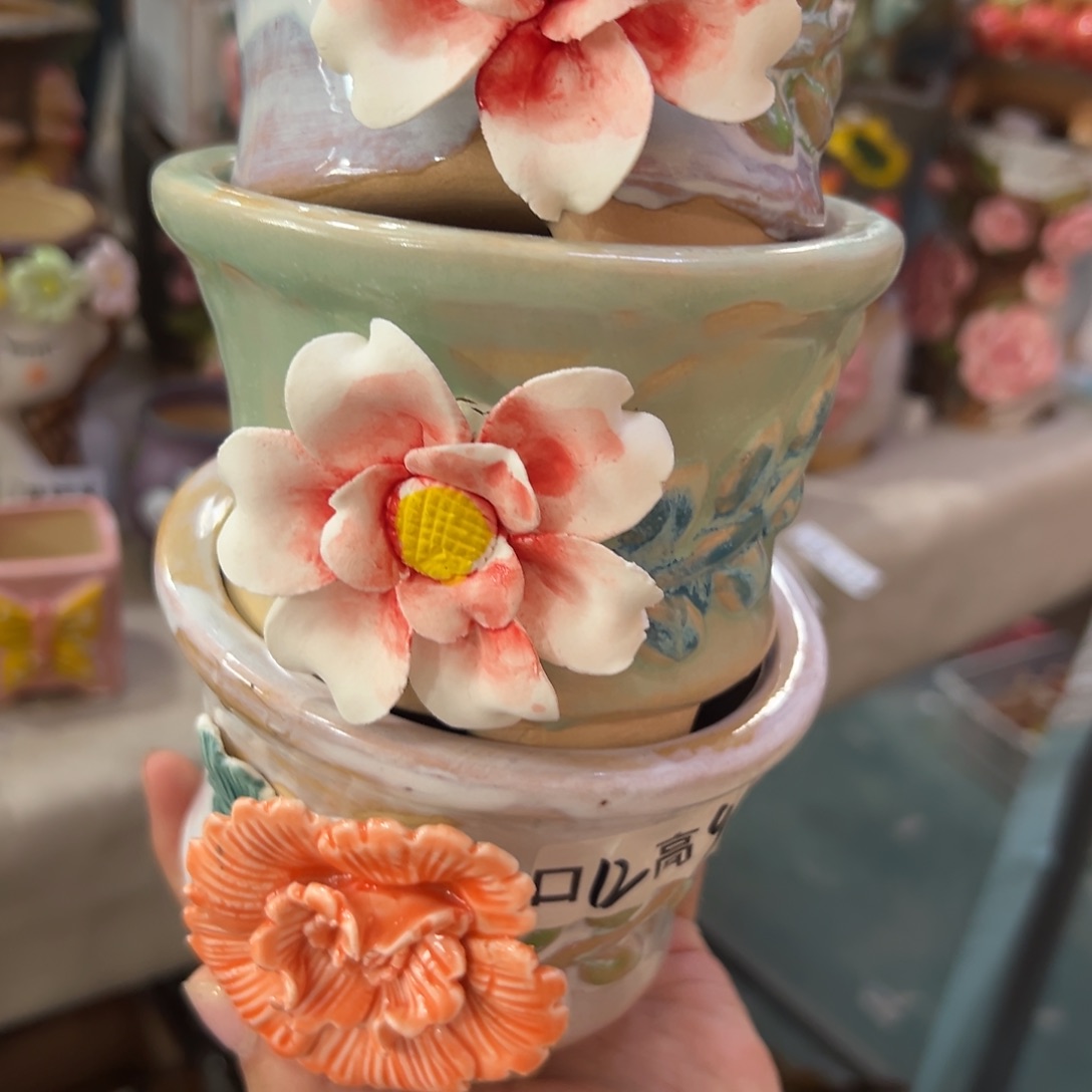 花盆，满20发货爱退款拉黑