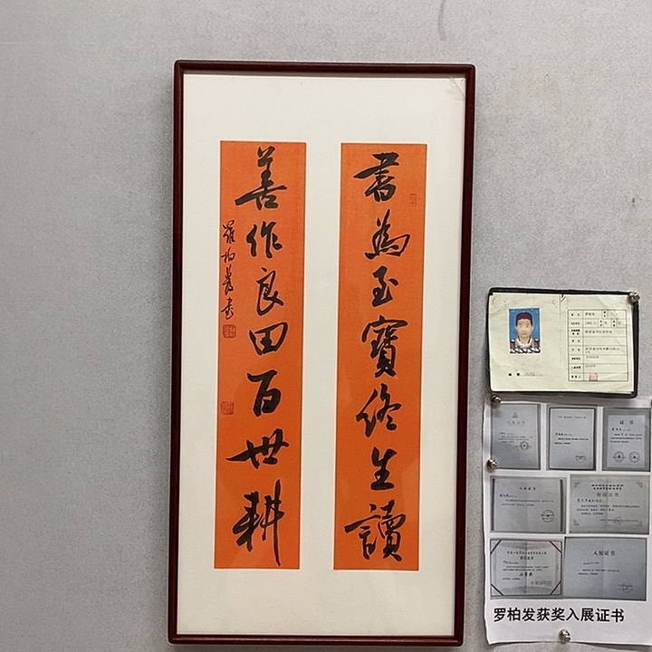 书法罗柏发书法书为