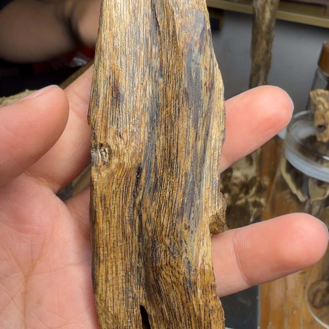 白奇沉香块料沉香