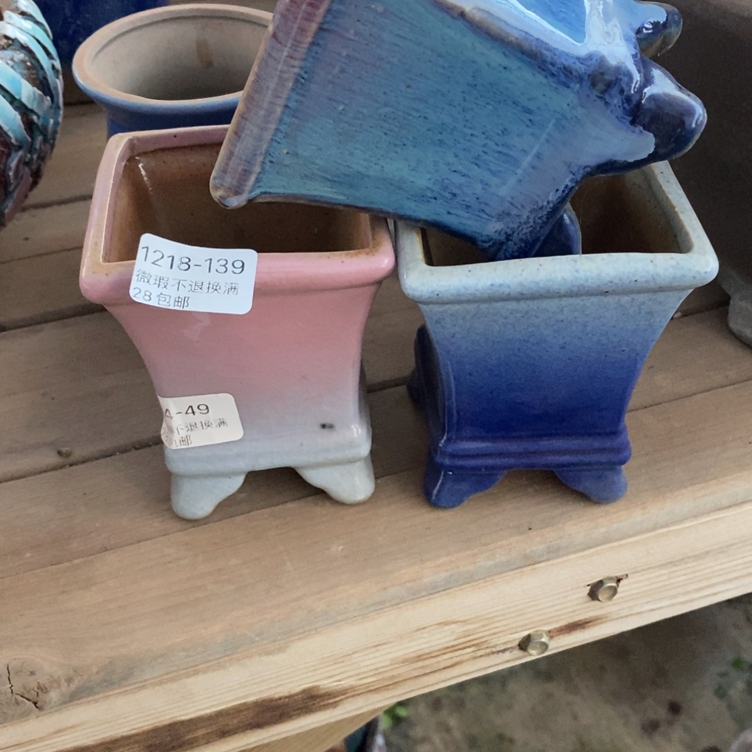 道***香139号花盆福利啦啦啦