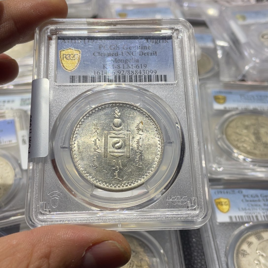 银星*八6666666666666666666