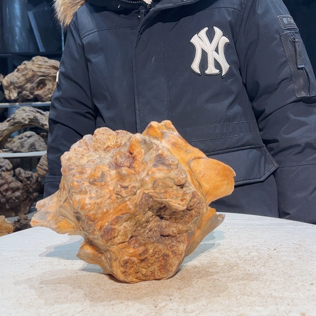 秋****松木大自然的秘密花园