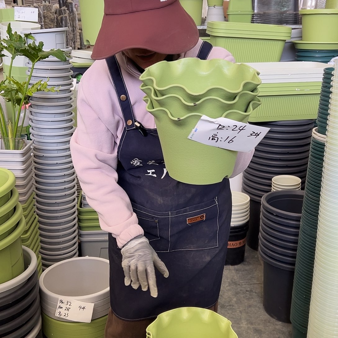 瑕疵荷叶边3#果绿色6个无托
