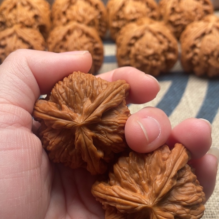 玄***°石楠木白狮子41核桃