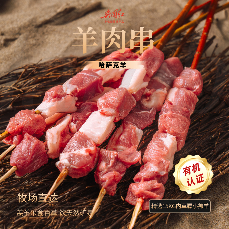 哈萨克羊 羊肉串500g 50g*10  精选15kg内小羔羊