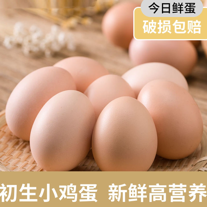 广东清远正宗初生蛋，清远英德散养土鸡蛋，自产现捡现发30枚