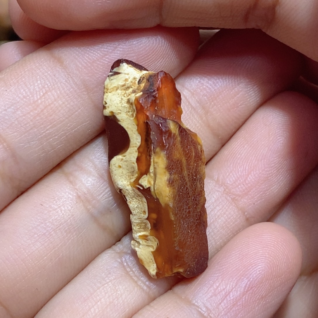 小***狗定制琥珀蜜蜡原石