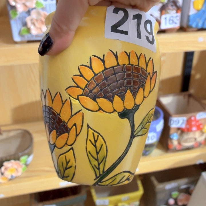 多肉花盆满15包邮，爱退款拉黑