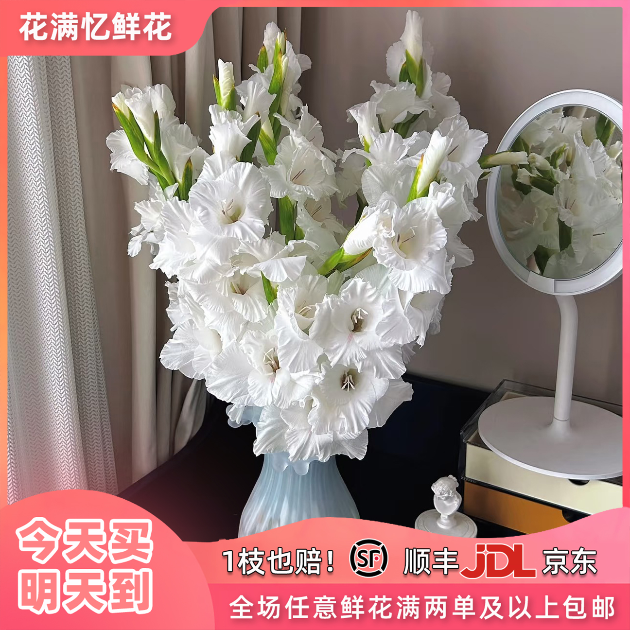 次日达-【白色剑兰】5枝家居鲜花剑兰花任意满两单顺丰包邮三单送花瓶今天拍明天到次日达