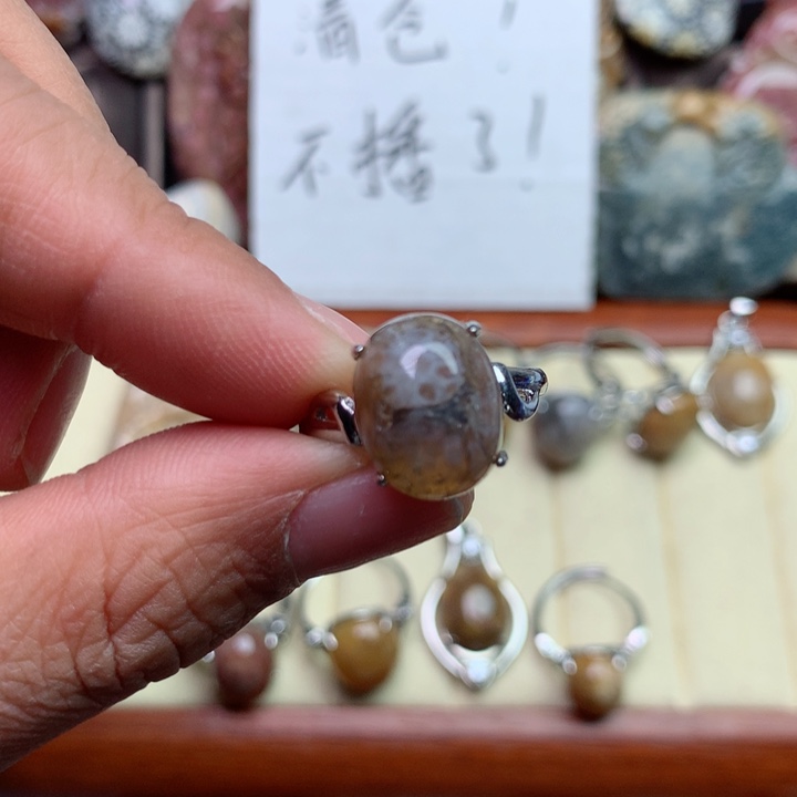 硅化珊瑚（珊瑚玉）颈饰未镶嵌