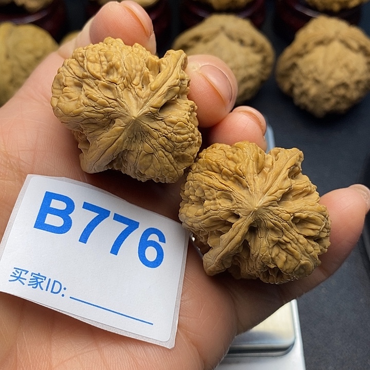 核桃将军榜3:6，华北