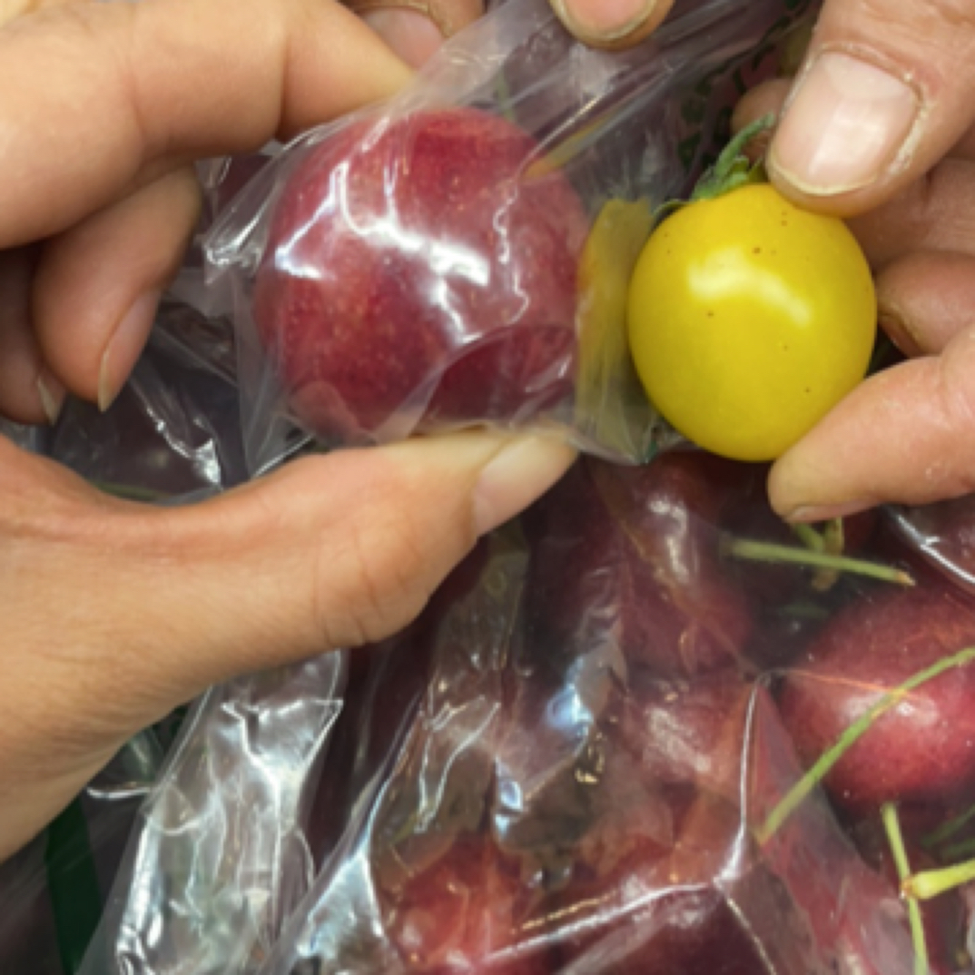 车厘子5J（吉制拉宾斯）五斤