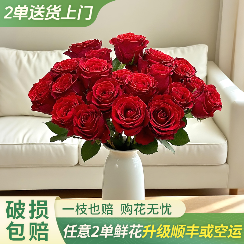 【大聪明卖花】红玫瑰云南直发鲜花家居水养鲜花花束客厅
