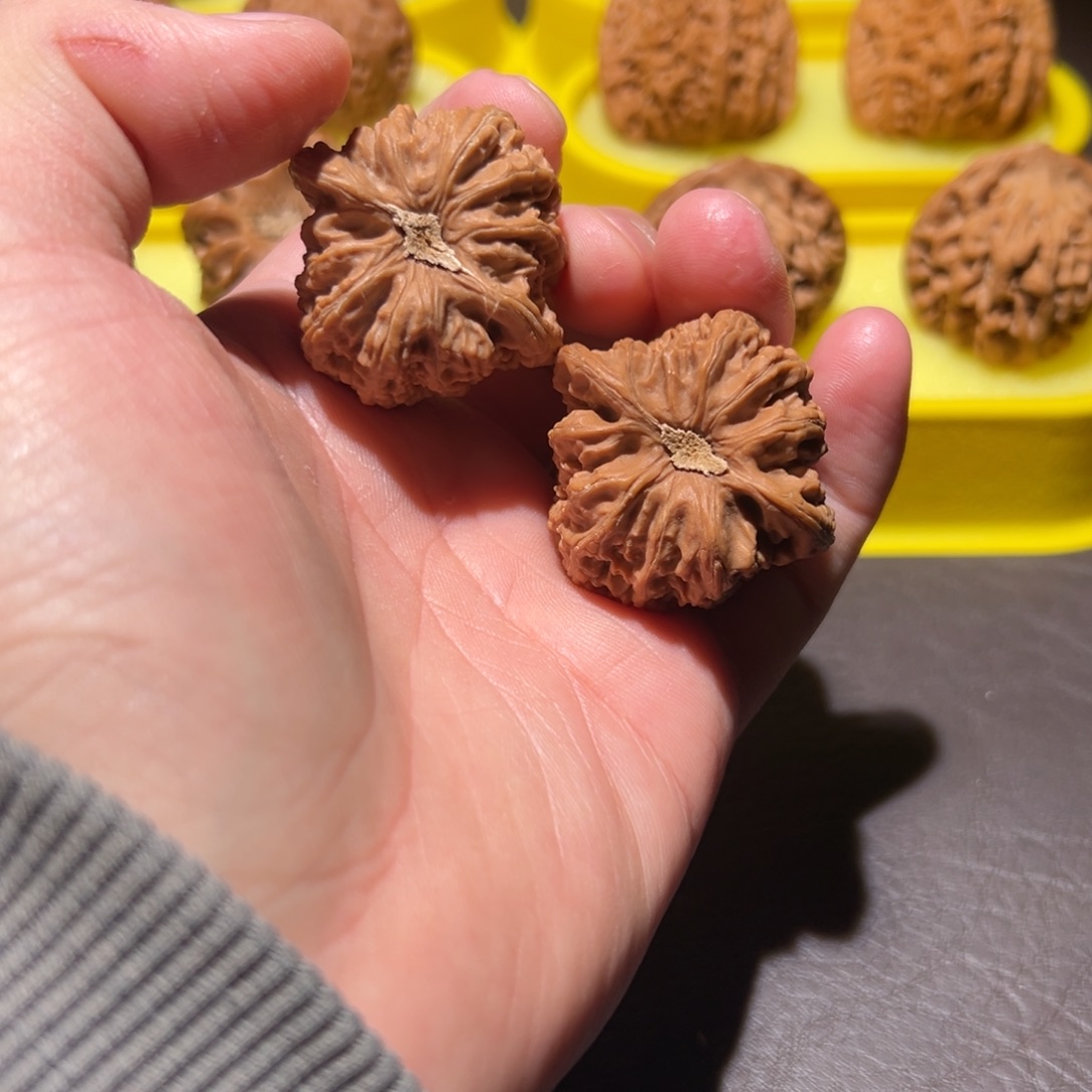 核桃36➕全品密纹1111