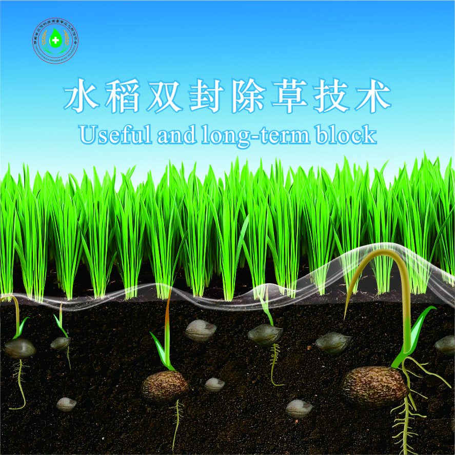 补运费中航封度双封除草技术纸质版补运费