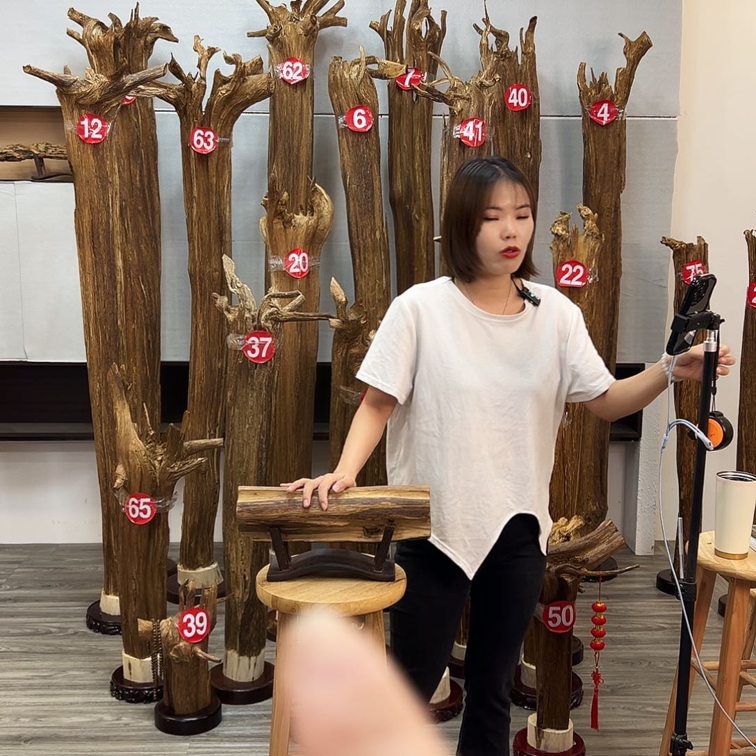 摆件沉香沉香摆件