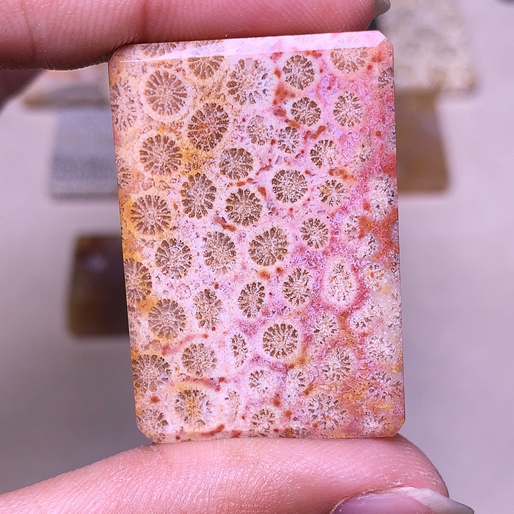 k***y硅化玉合金珊瑚玉