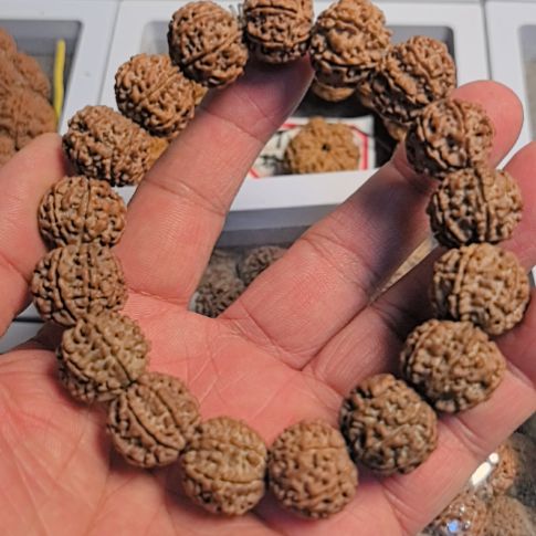 昶***江金刚菩提手串七瓣大金刚手串，原皮原色，精挑细选