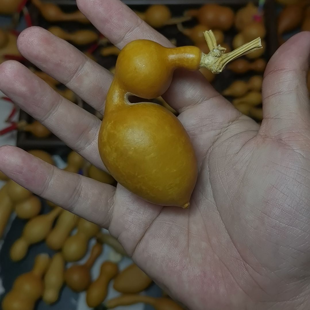 ?****易葫芦天残脚葫芦天残脚葫芦天残脚
