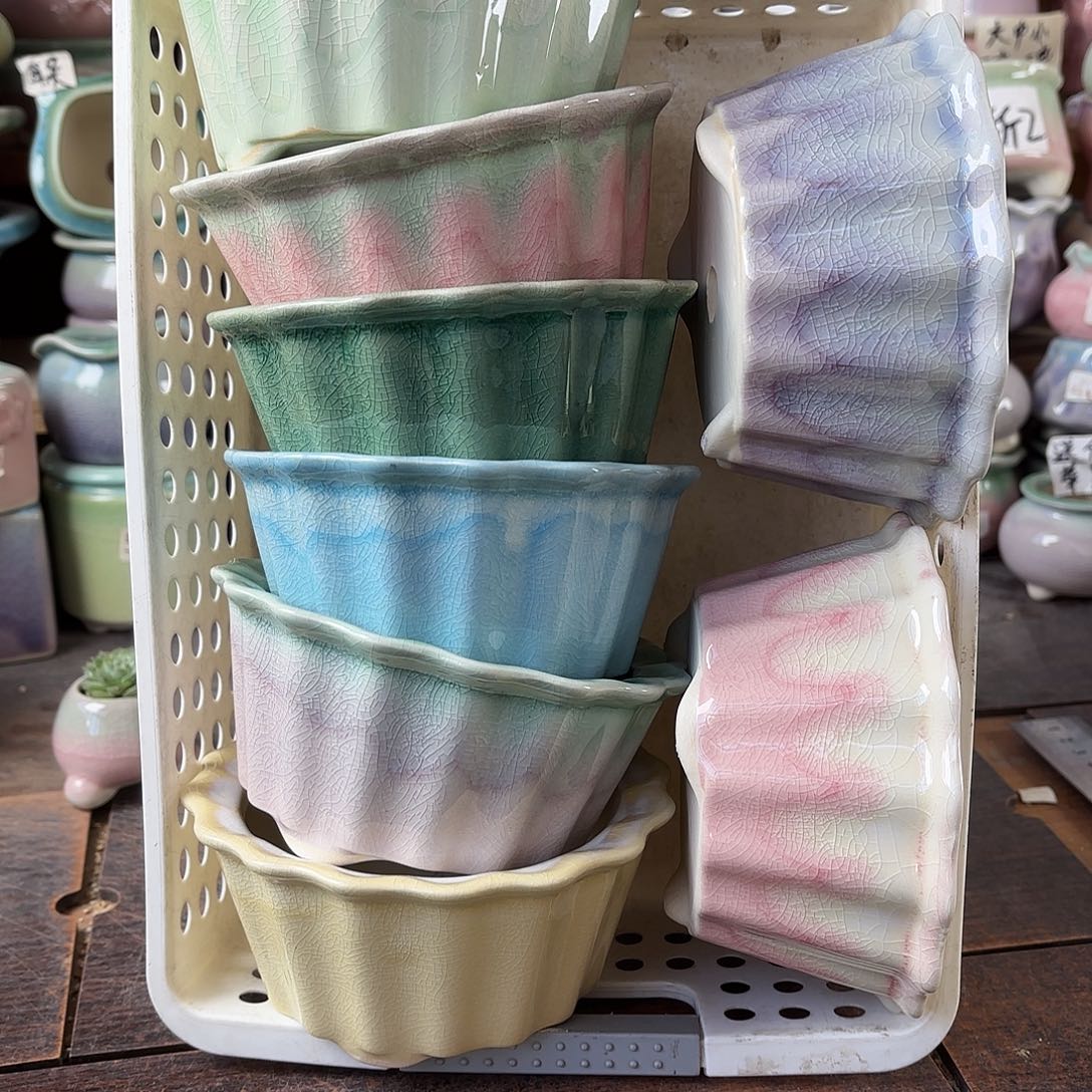 量货/10口高6深浅搭配发4