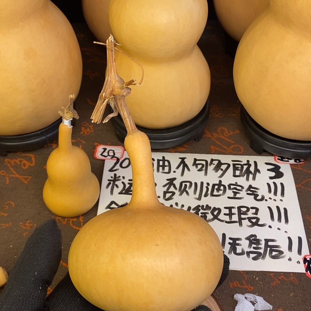 ****直播间一物一拍文玩葫芦