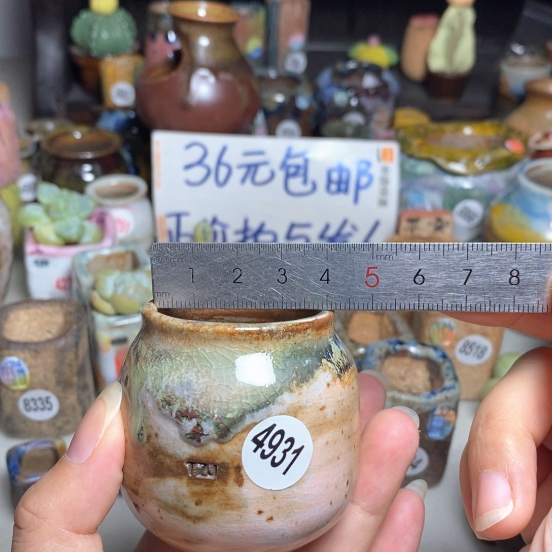 拍5送一个小礼物