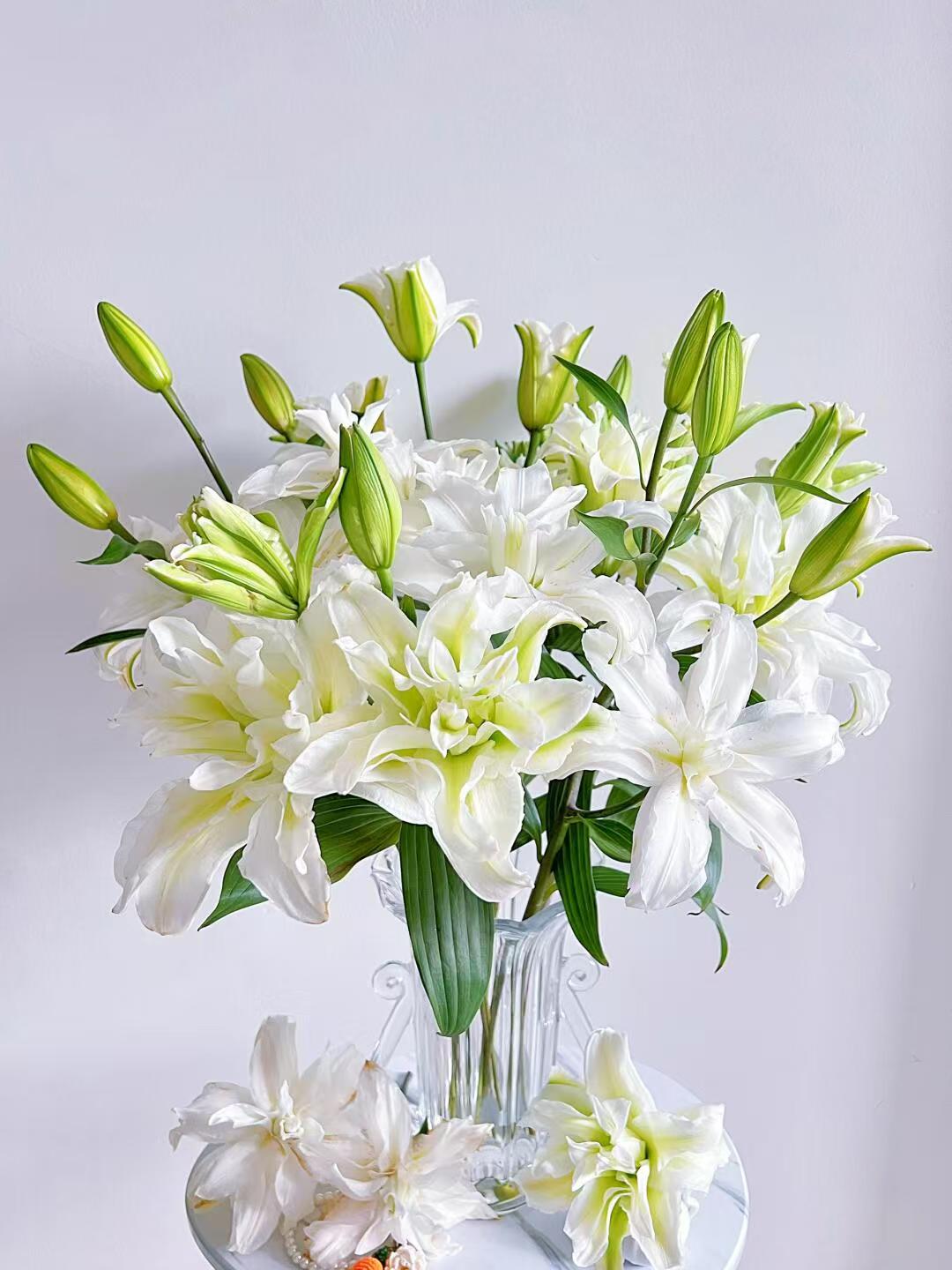 四季可种1颗 19/21（爱莎) 进口重瓣香水百合花球