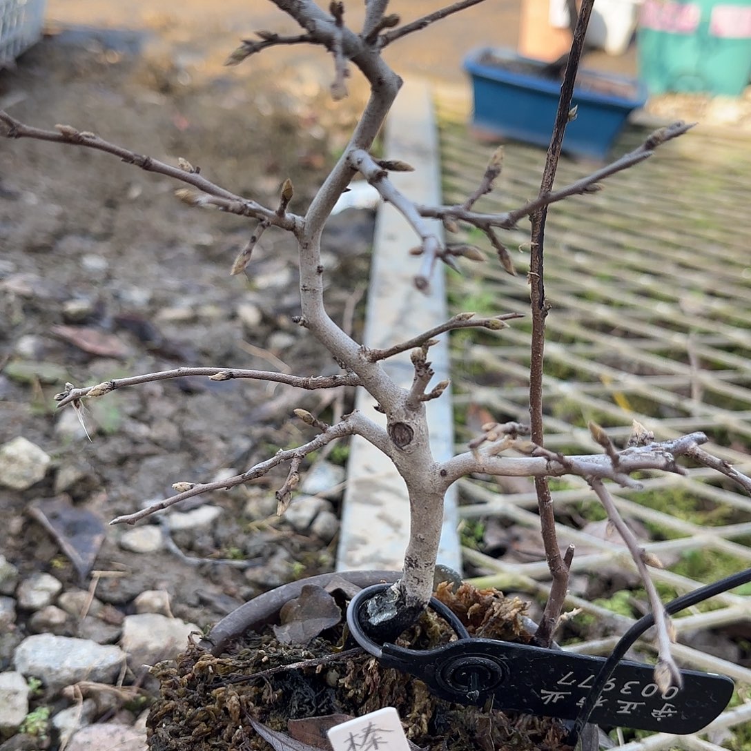 费***劲哈哈哈哈哈哈哈哈哈哈哈哈