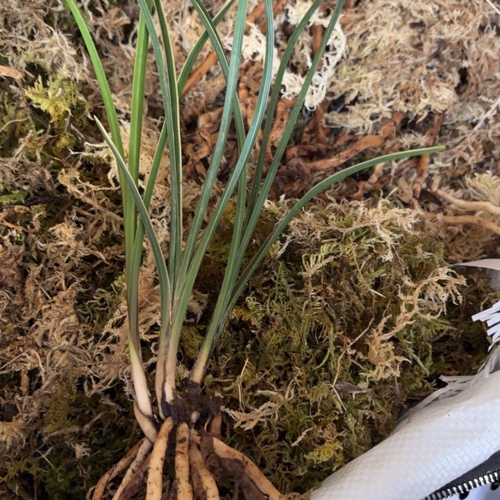 渐***者完全开放送希望送快乐送健康