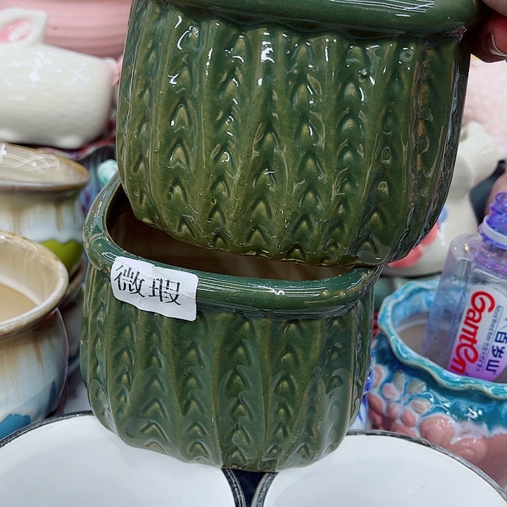 多肉植物陶瓷花盆