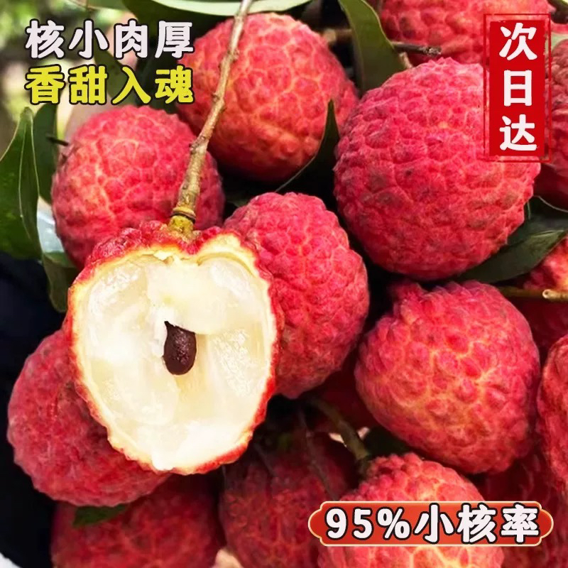 【5斤大果】增城仙村仙进奉荔枝进奉荔枝基岗仙进奉荔枝新鲜采摘