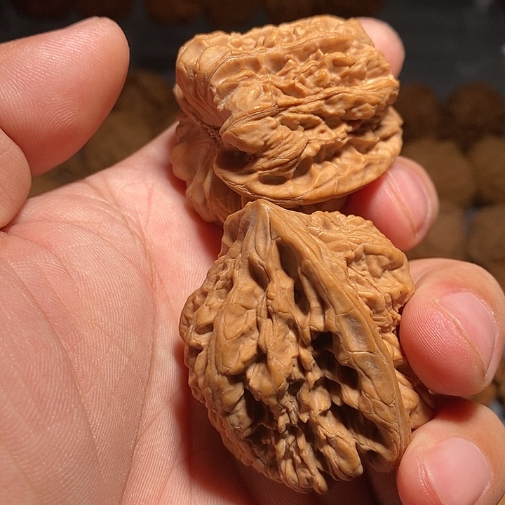 吊坠龙脊菩提金蝉王狮子头尺寸41