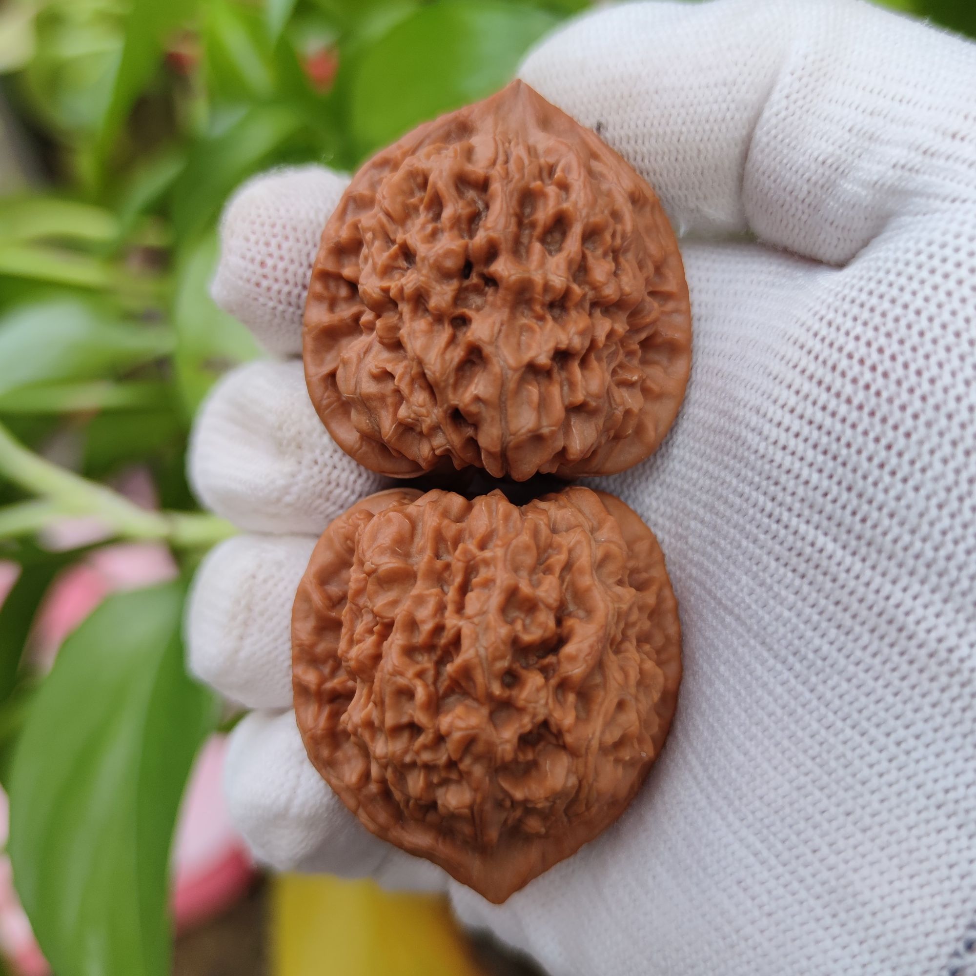 一对原生态文玩核桃麒麟纹官帽手捻边39.6肚36高40.5克重40.7克