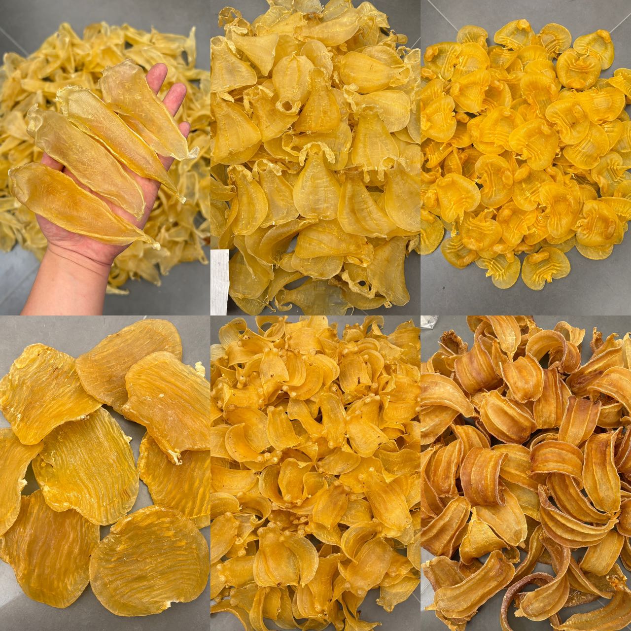 广东鱼胶花胶  综合直播鱼胶链接1-500g