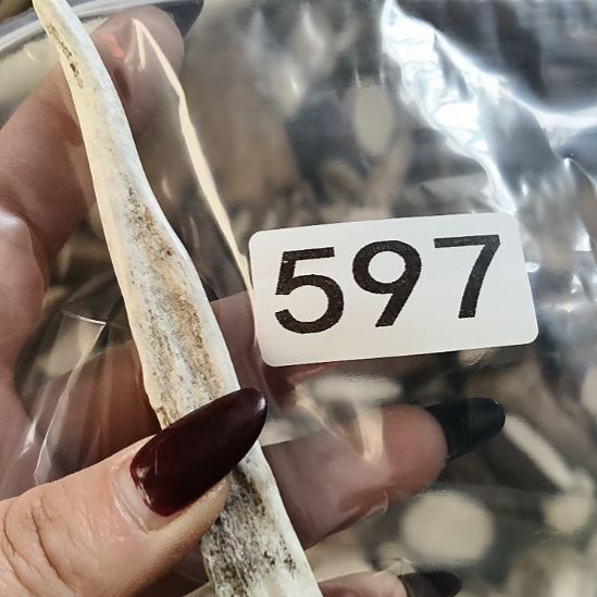 奥***开鹿角鹿角鹿角鹿角鹿角鹿角