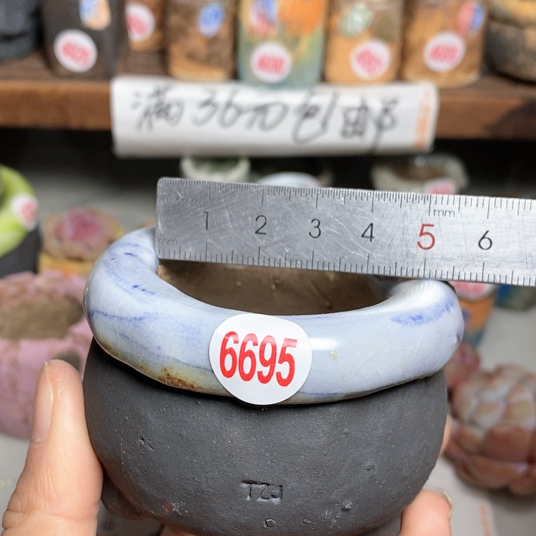 红陶拍5送一个小