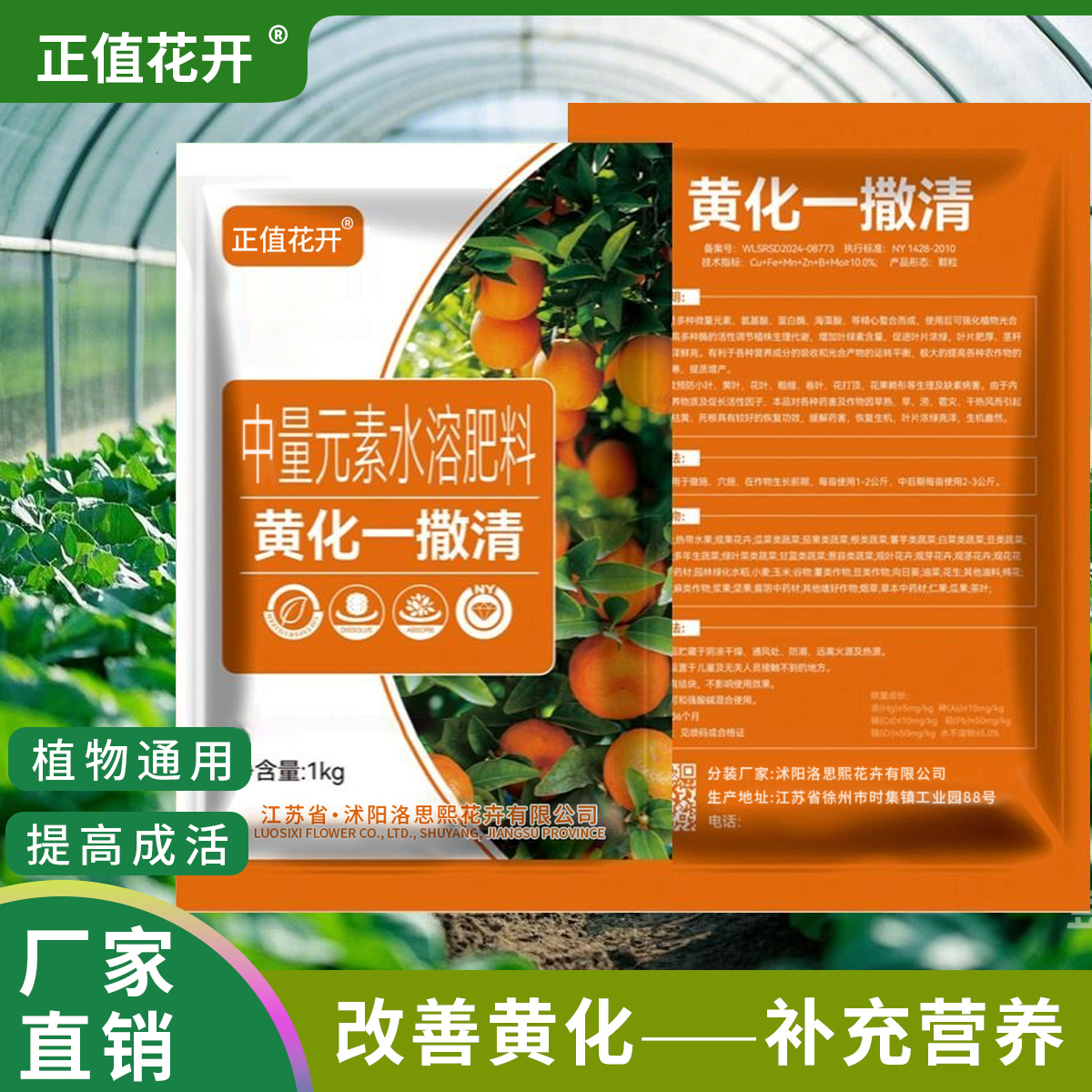 黄化一撒清中量元素水溶肥改善叶片黄化转绿补营养增强树势