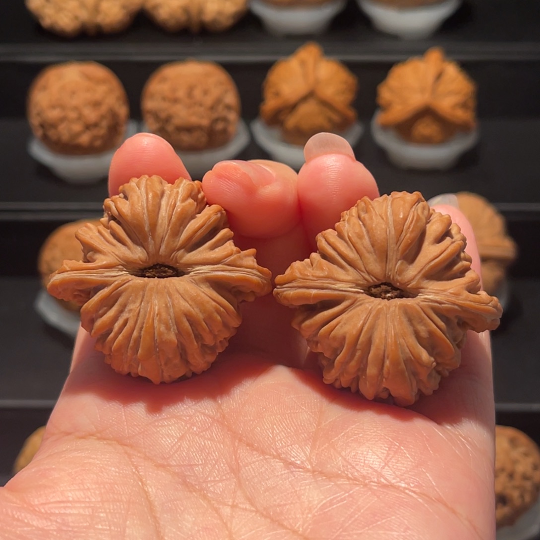 精品，货头，39四座楼175