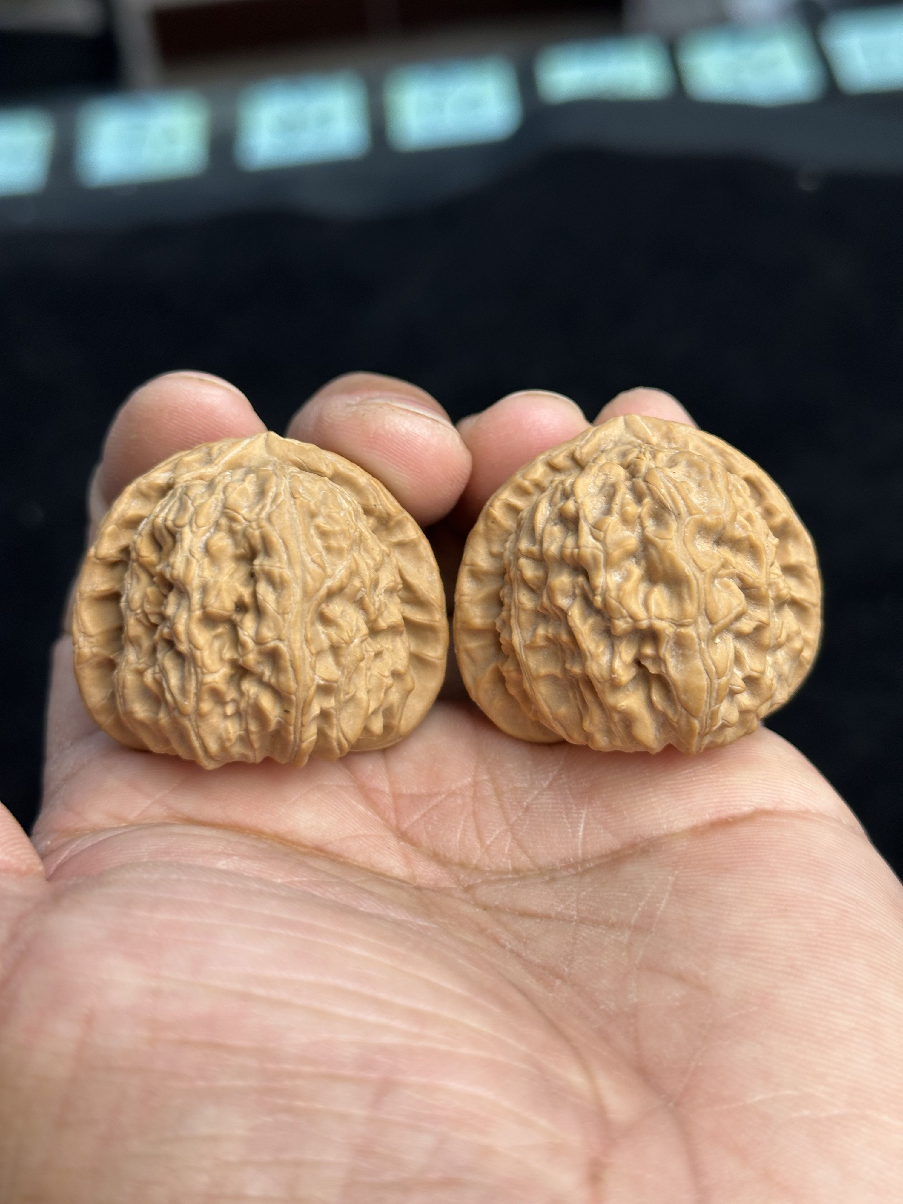 全品无修文玩核桃白狮子手把件