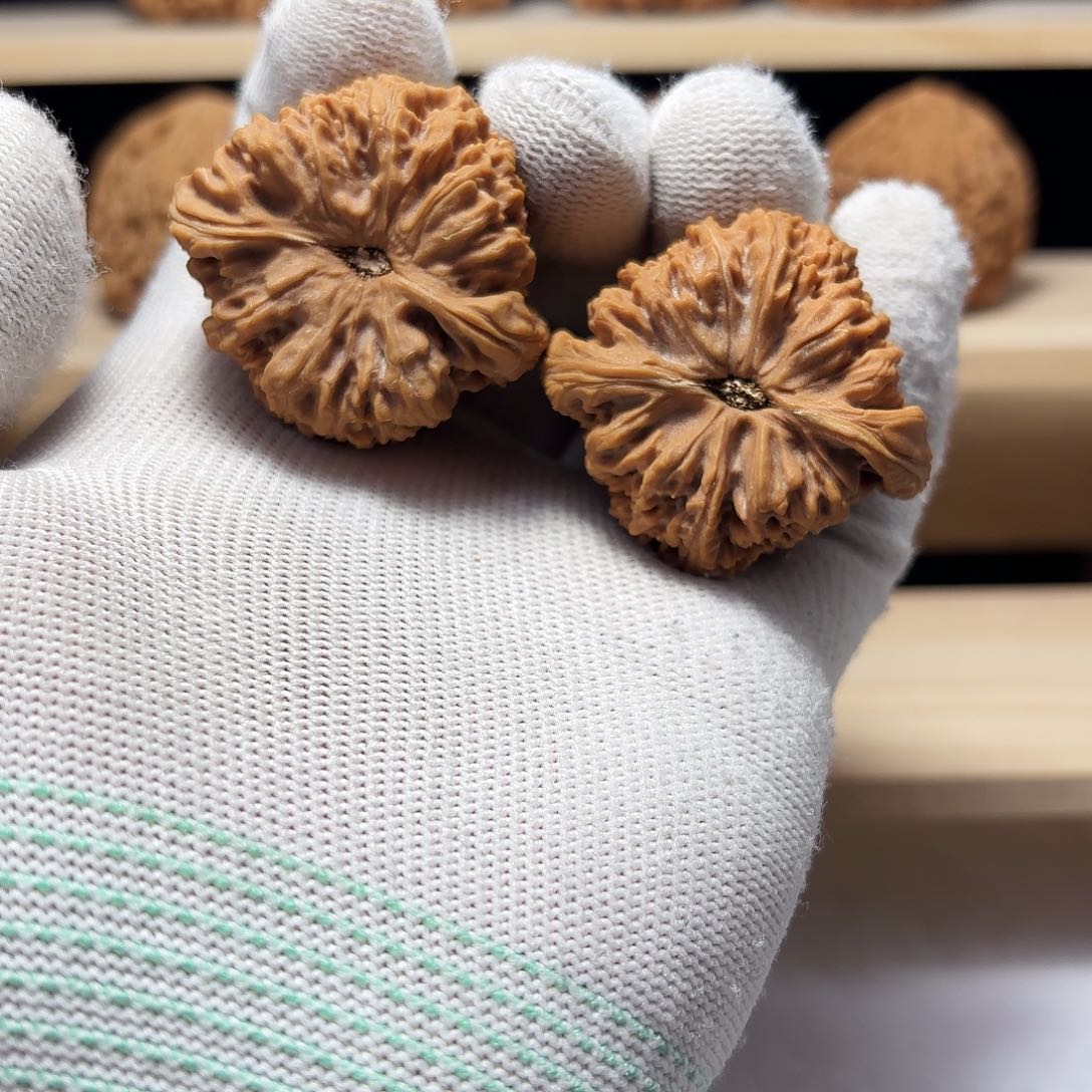 文玩核桃把件晴*?涿鹿南将