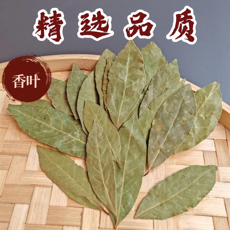 香叶无熏硫自然晒干香料卤料调味料50-500克