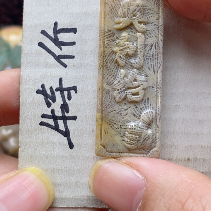 硅化珊瑚（珊瑚玉）颈饰未镶嵌