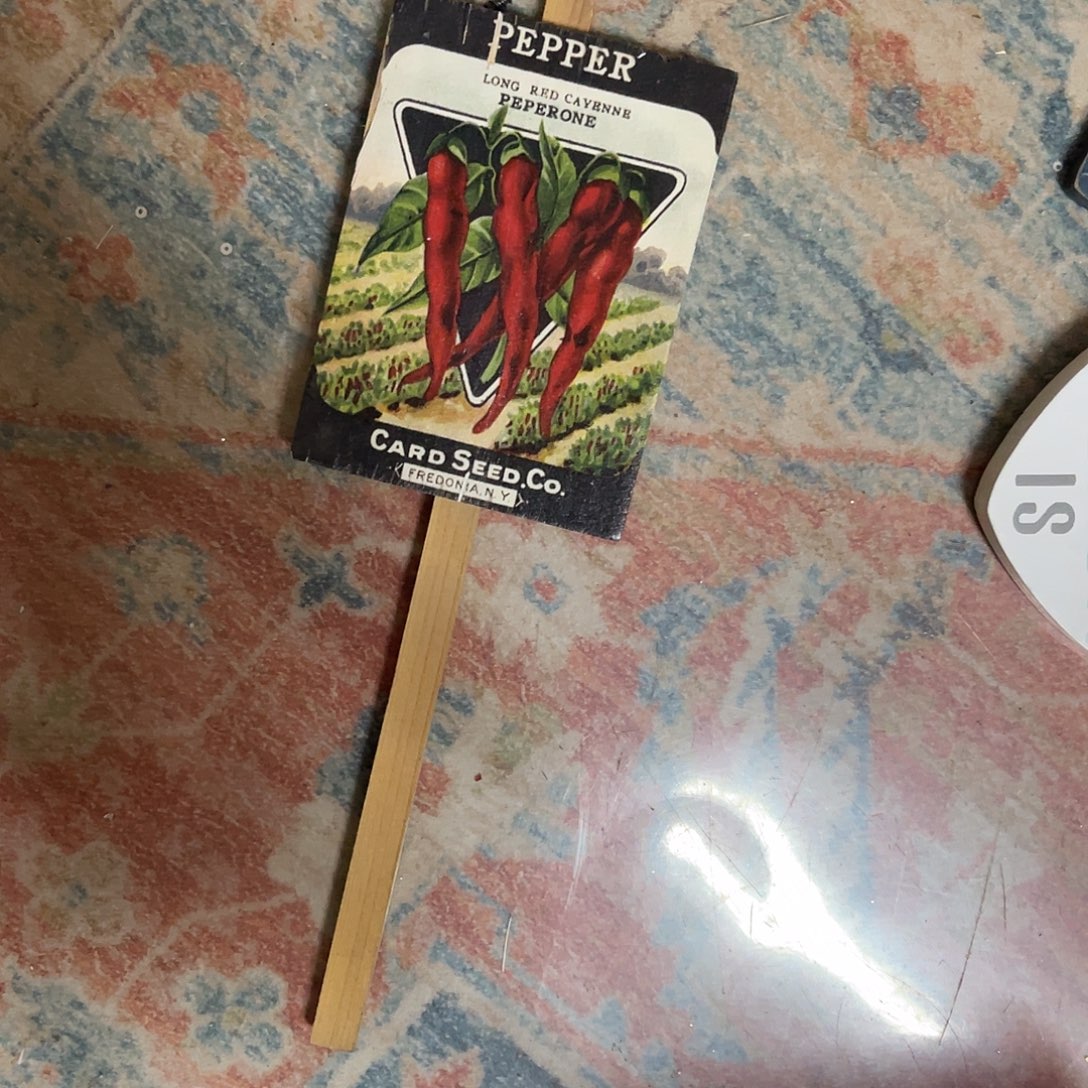 荣****安提克斯拍了说已拍