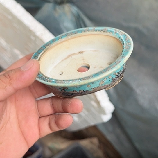 我不在这里吃饭的呀亲爱呢不