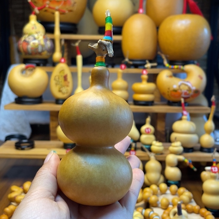 有***世天然葫芦自然生长