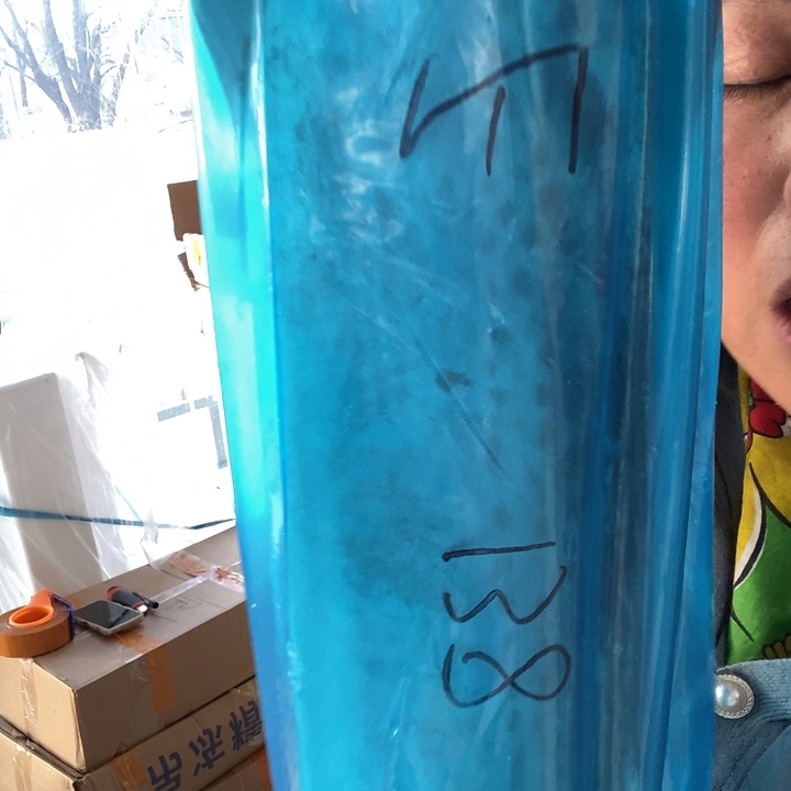 丽***华中国大陆渤海湾野生燕鲅鱼E