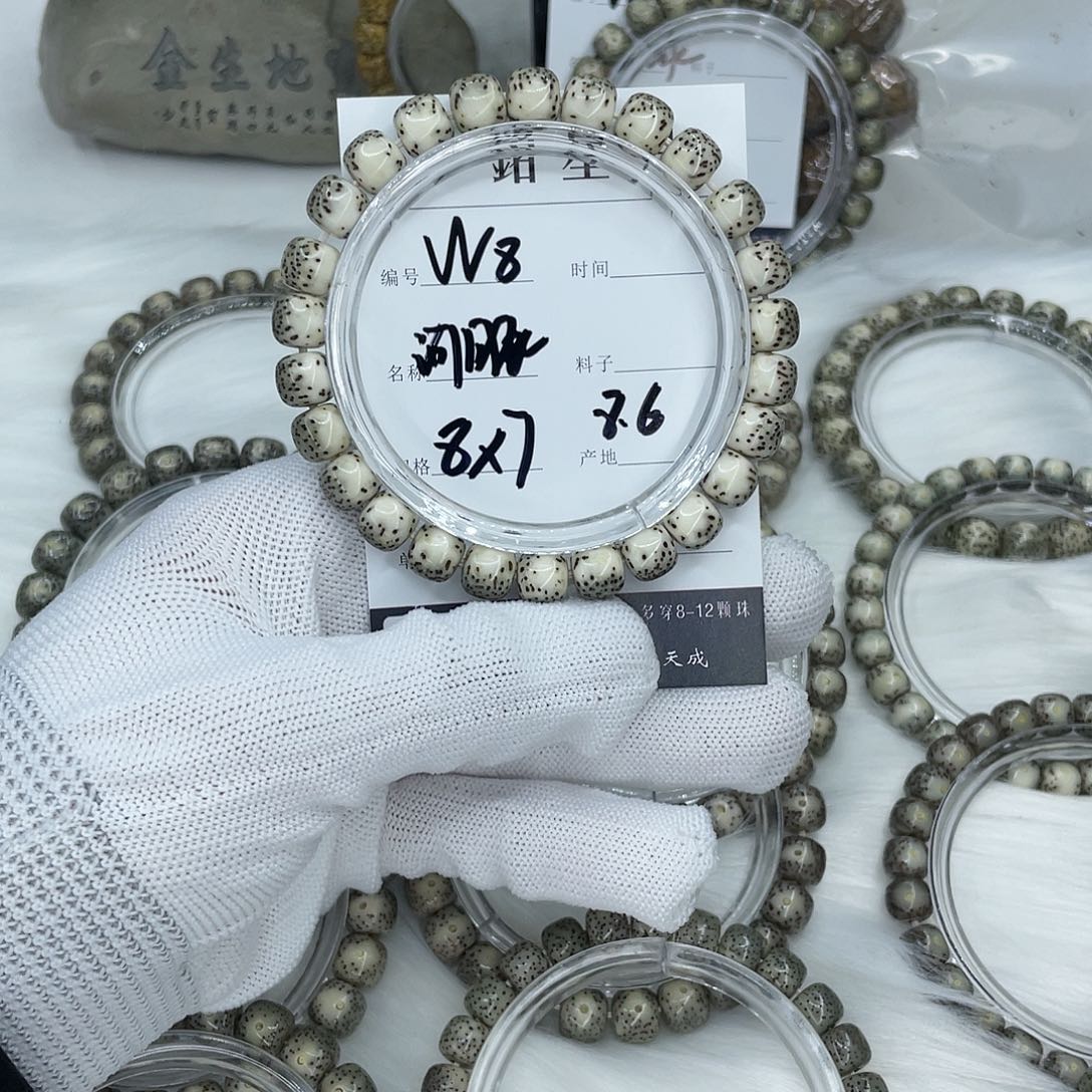 菩提籽类W8 河豚 8