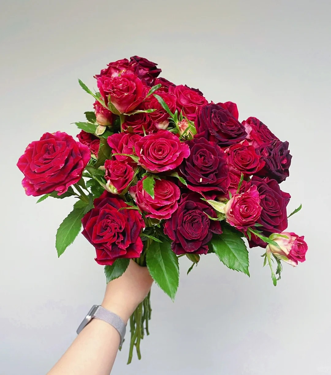 （蔓蔓）紫罗兰多头玫瑰8支+2支防损 1单包邮