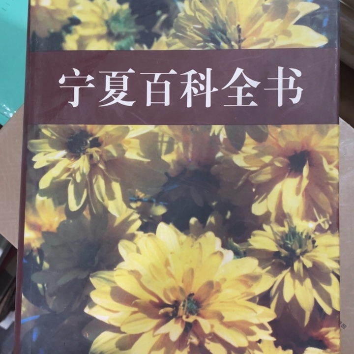 宁夏百科全书精装微瑕