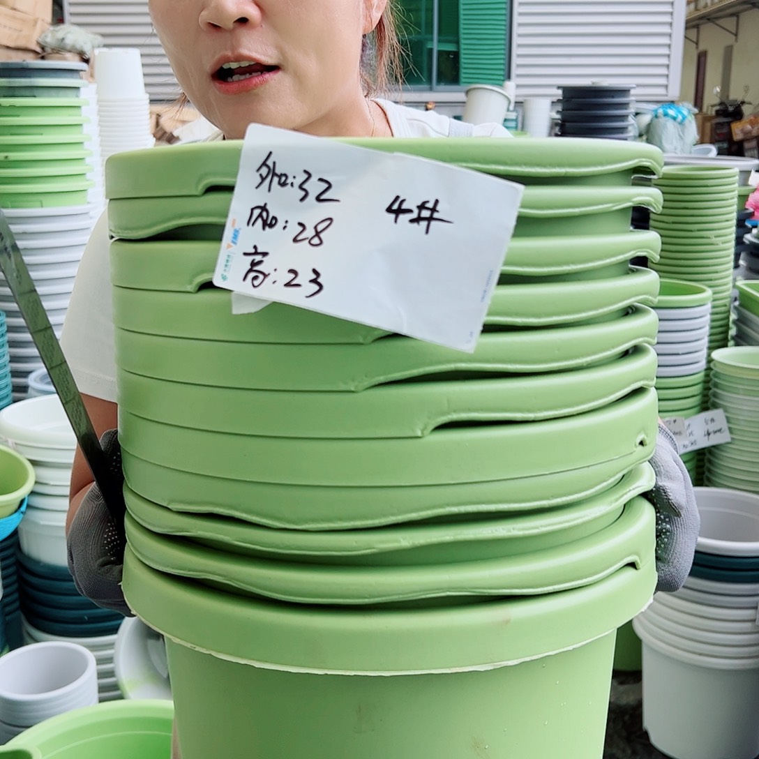瑕疵球根盆4#果绿色3个无托